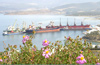 BODRUM GÜLLÜK PORT 2